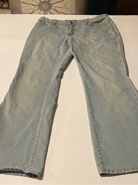Roxy Light Wash Flared Jeans